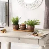 Set of 3 Brown Round Ceramic Small Planters - Ideal for Indoor Plants