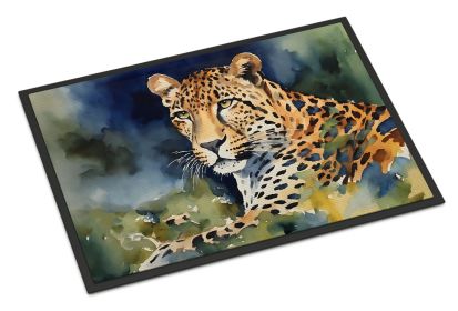 NEW Leopard Doormat Front Door Mat Indoor Outdoor Rugs for Entryway, Non Slip Washable Low Pile, 18H X 27W